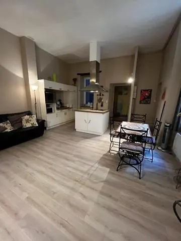 Apartament Cosy House T3 Center, Museum, Place Carnot